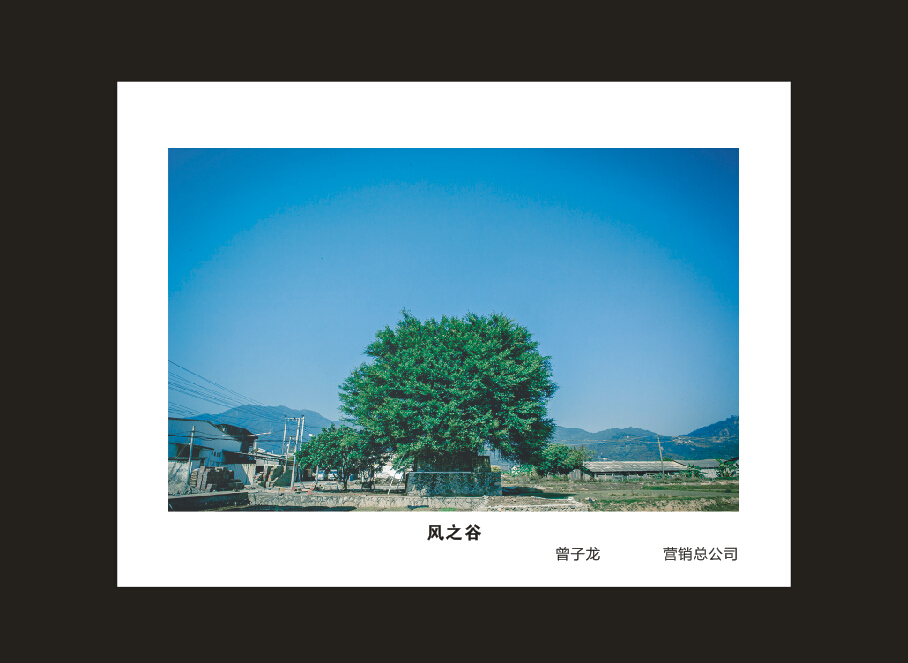 开云kaiyun网页版官网_开云kaiyun（中国）智能成立16周年司庆活动“魅力开云kaiyun网页版官网_开云kaiyun（中国）”摄影比赛优秀作品展