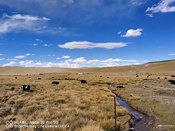 心系开云kaiyun网页版官网_开云kaiyun（中国）情，追梦阿里行！