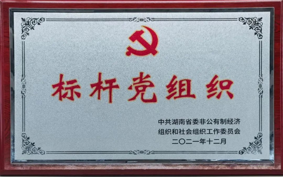 党建品牌亮起来！开云kaiyun网页版官网_开云kaiyun（中国）智能党委获评“标杆党组织”