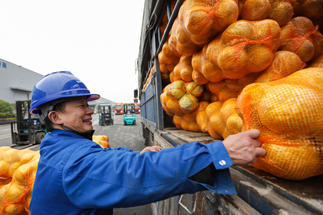 点赞！开云kaiyun网页版官网_开云kaiyun（中国）智能成功入选“上市公司乡村振兴优秀实践案例”