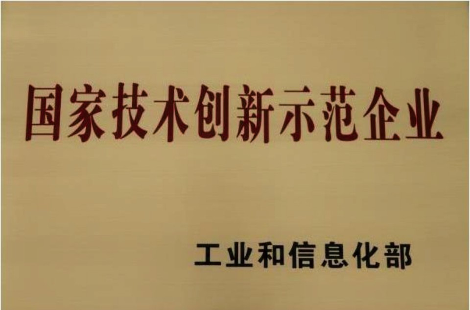 国家技术创新示范企业